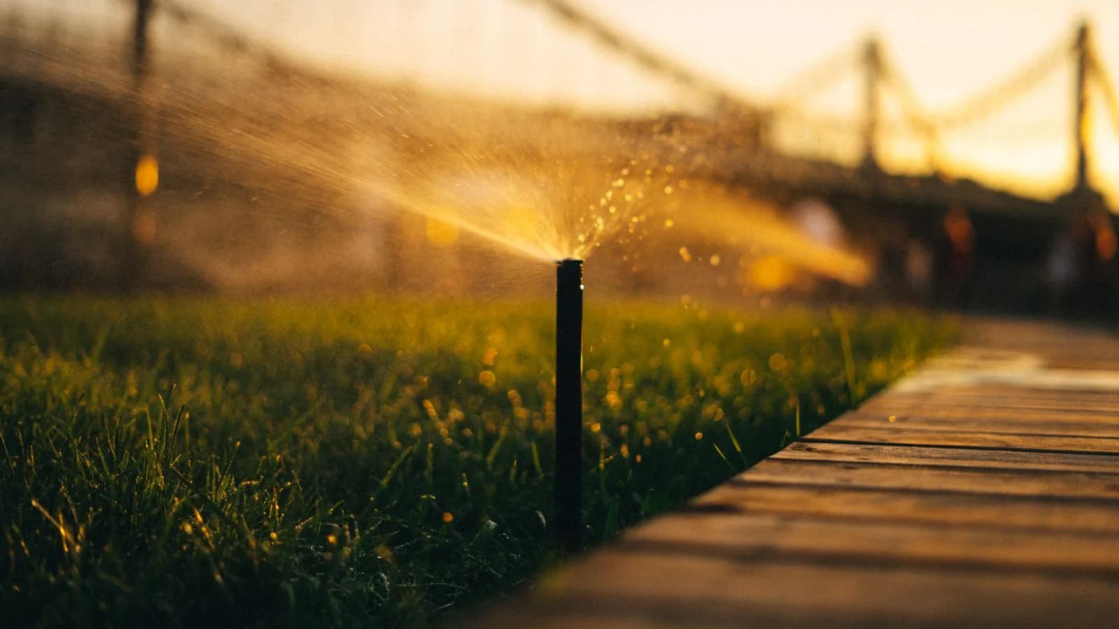 Garden sprinkler watering a lawn in morning light